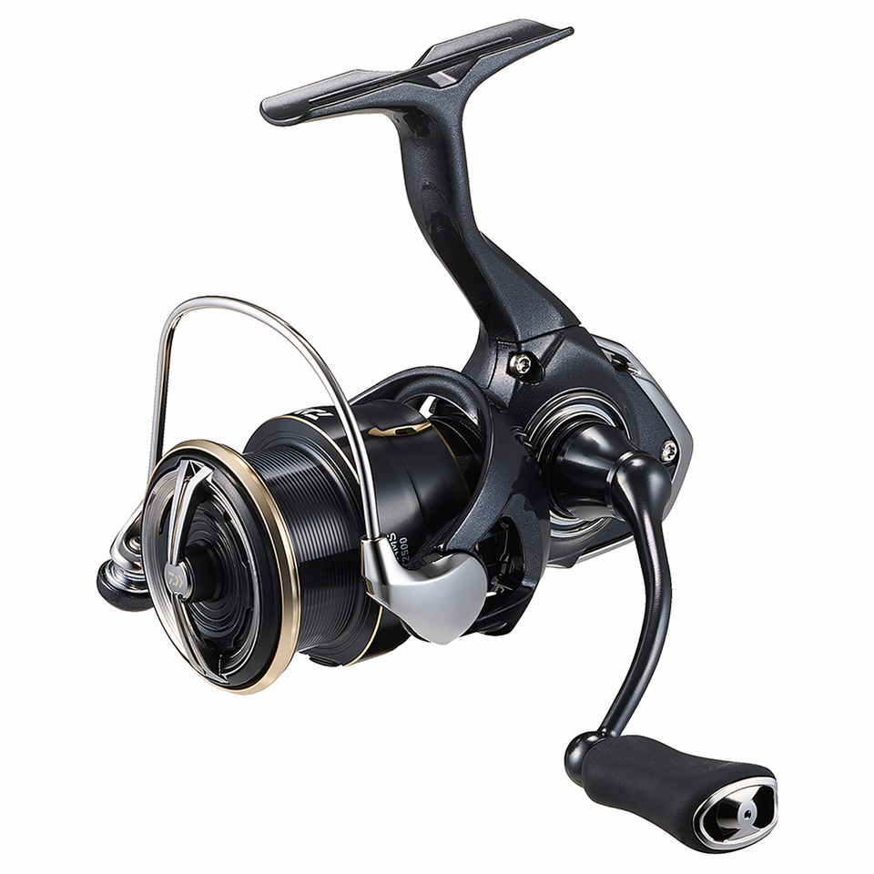 Moulinet Spinning DAIWA 2026 F - Daiwa Reel Bg avis et prix