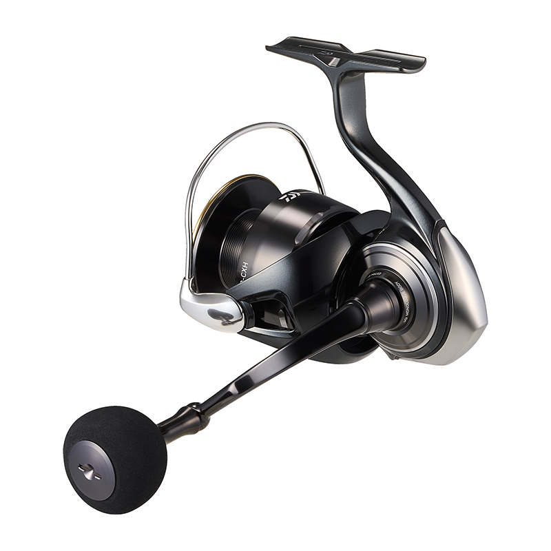 Moulinet de pêche DAIWA 2026 C - Daiwa Reel Bg avis et prix