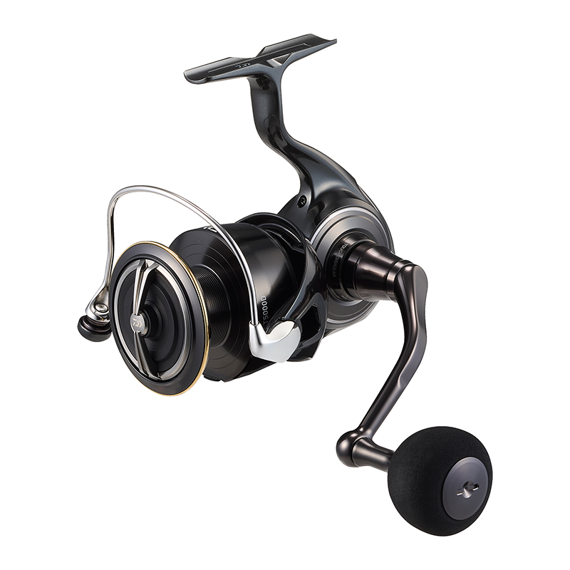Moulinet de pêche DAIWA 2026 C - Daiwa Reel Bg avis et prix
